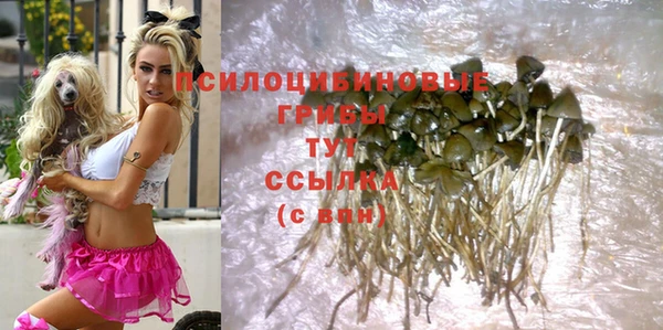 MESCALINE Бородино