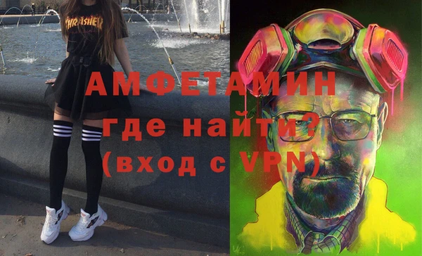 прущие грибы Богданович