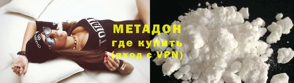 прущие грибы Богданович