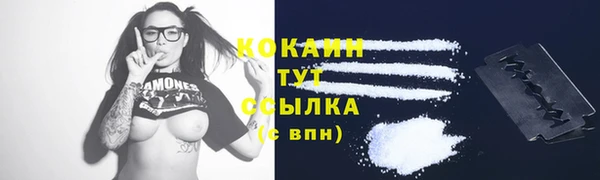прущие грибы Богданович