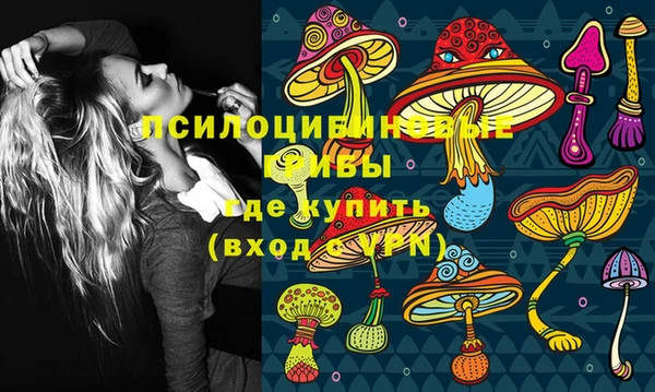 гашик Богородицк