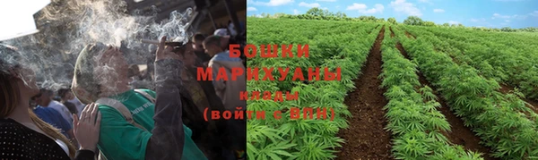 МДПВ Бронницы
