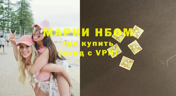 прущие грибы Богданович