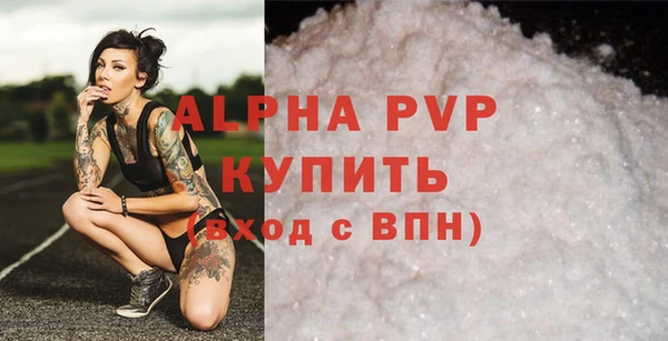 прущие грибы Богданович